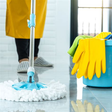 Floor Cleaner – Revisol