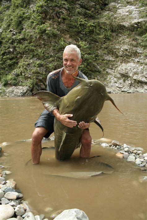 Unmasking The Predatory Power Of Goonch Catfish Man Eating River Monsters