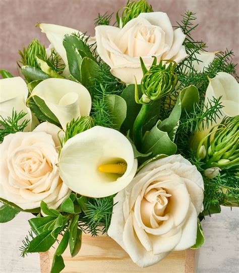 Flower Delivery Pennsylvania | Pennsylvania florists | Floom