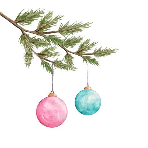 Bolas De Natal Em Aquarela Penduradas Em Galho De Pinheiro Vetor Premium