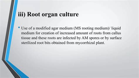 Mycorrhiza | PPT