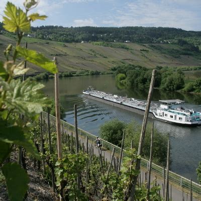 Mosel Radweg Gesamtstrecke Von Perl Bis Koblenz Tour