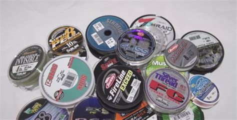 complete fishing  guide fishing world