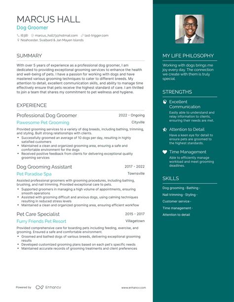 3 Successful Dog Groomer Resume Examples And Writing Tips For 2024