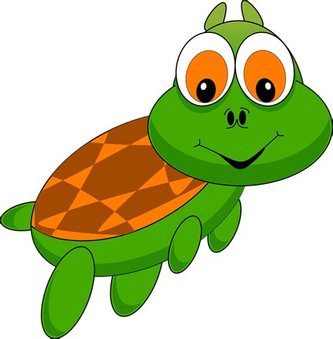 schildkrote tier cartoon kostenlose vektorgrafik auf pixabay
