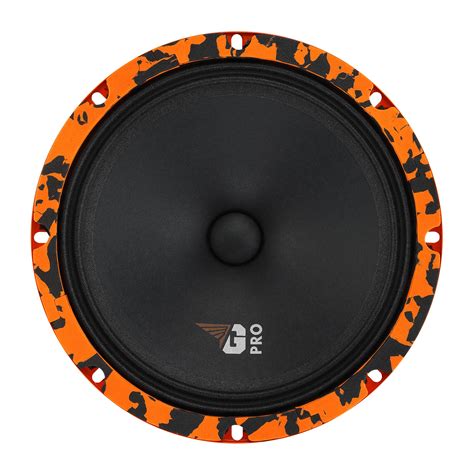 Эстрадная акустика DL Audio ™ Gryphon Pro 200