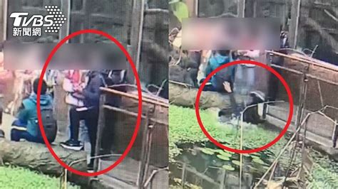 國小男童「慘跌北市動物園水池」 疑顧滑手機踩空畫面曝│tvbs新聞網