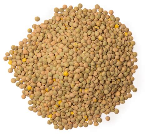 beans and lentils recipes