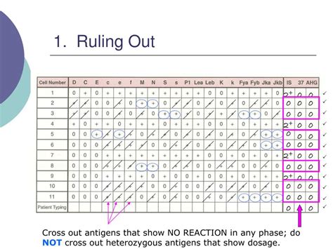 Ppt Antibody Screening And Identification Powerpoint Presentation Free Download Id 4693854