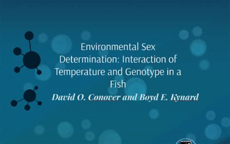 Environmental Sex Determination Interaction Of Temperature By Missy Robertson On Prezi