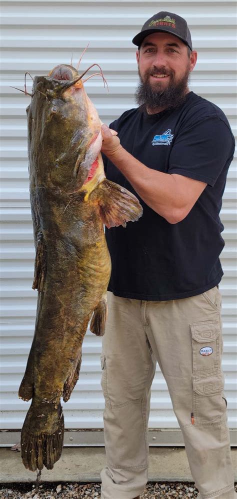 World Record Catfish