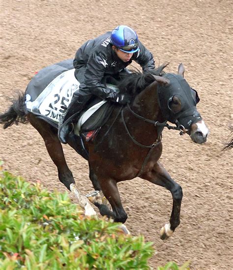 【岩田康誠の熱血！！競馬道】京阪杯で初コンビのプルパレイ 力引き出し一発狙う Umatoku 馬トク