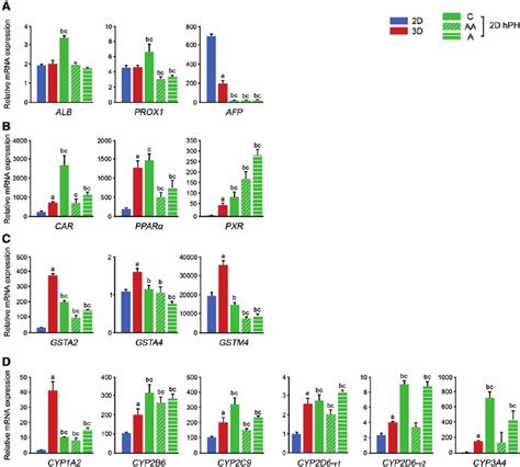 Comparison Of Hepatic Gene Expression Among D Cultured Hlcs D