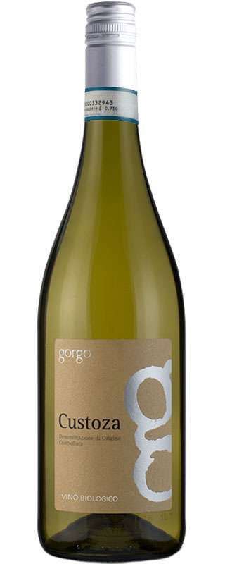 Gorgo Custoza Curious Wines