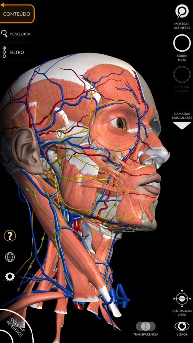 Baixar Anatomia Atlas 3d Para Ios No Baixe Fácil