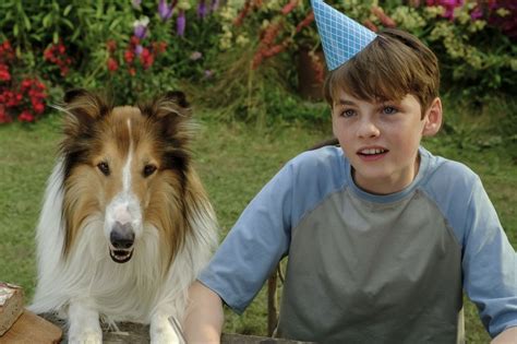 Photo du film Lassie - Ein neues Abenteuer - Photo 45 sur 48 - AlloCiné
