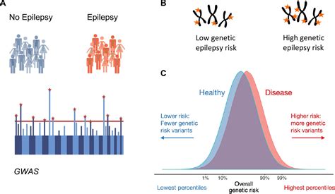 Polygenic Risk Scores In Epilepsy