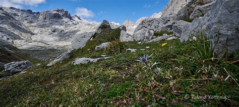 Nationalpark Picos De Europa Am Pass Horcadina De Covarro Flickr