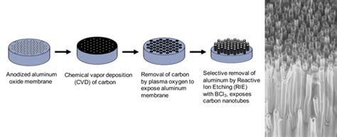 Carbon Nanotubes Research Projects Dickerson Lab University Of