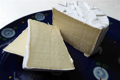 White cheese mold - Penicillium candidum - Startercultures.eu