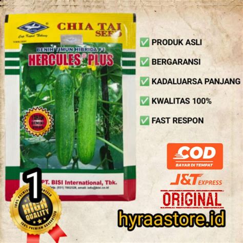 Jual Benih Timun Hercules Plus Gram Kadaluarsa Shopee Indonesia