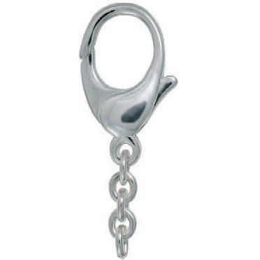 Schl Sselring Karabiner Mit Kette Schnappverschluss In Silber