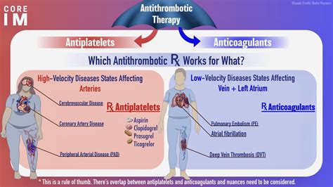 Dual Antiplatelet Therapy Duration After Percut