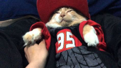 CARL POPPING PUSSY YouTube