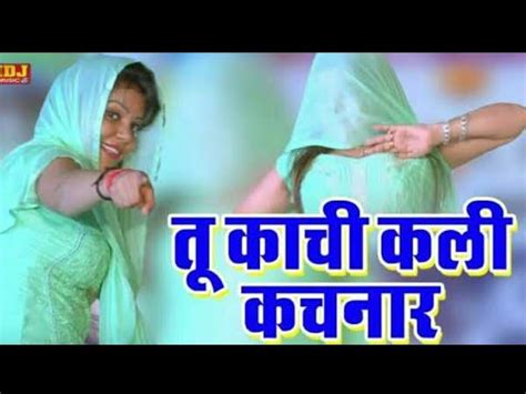 Tu Kachi Kali Kachnar Tane Koi Phool Bana Dega Haryanavi New DJ Songs