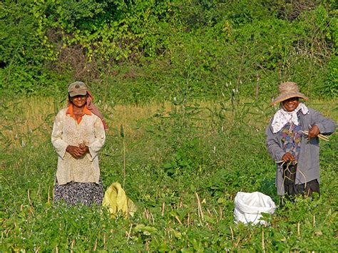 Responsible Rural Village Tours In Sri Lanka Community Based