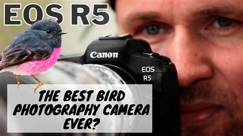 Tips Best Cameras For Bird Photography Update