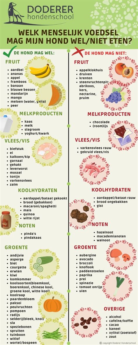 Welk Eten Mag Ik Mijn Hond Geven Infographic Doderer Hondenschool