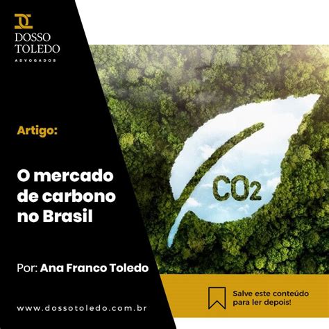 O Mercado De Carbono No Brasil