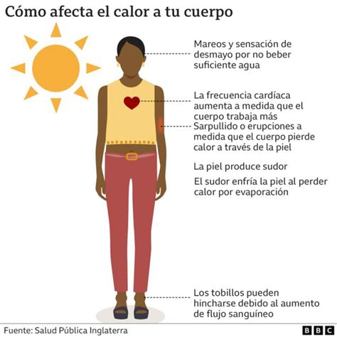 Elimina Las Olas De Calor En Tu Cuerpo De Manera Efectiva Y Divertida