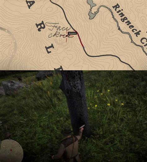 Red Dead Redemption 2 Where To Find All Poisonous Trail Treasure Map