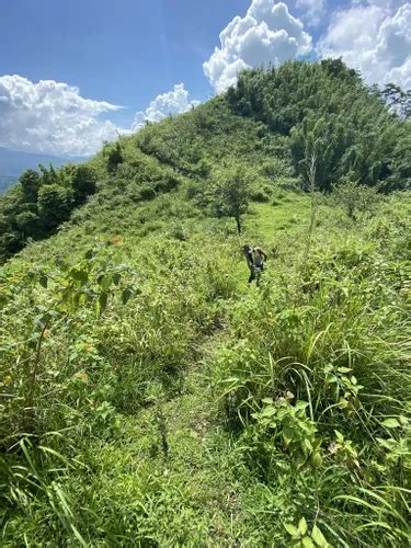 10 Best Trails and Hikes in Tanay | AllTrails