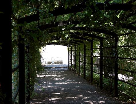 Pergola Am Haus Selbst Bauen Und Begr Nen Fassadengruen