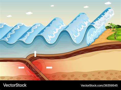 Diagram showing earthquake tsunami Royalty Free Vector Image