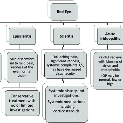 Slit Lamp Photographs Of Peripheral Corneal Involvement In A Patient