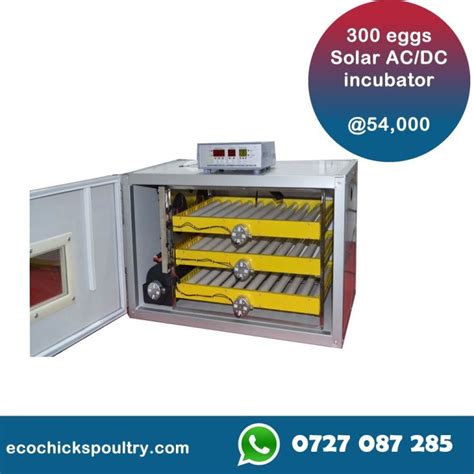 Digital Intelligent Eggs Incubator Solar Powered Hatchery