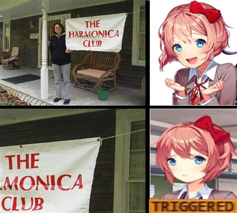 Sayori Ddlc Memes