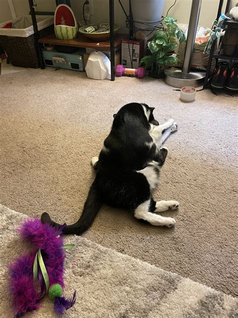 3B0F6274-69FA-4E7A-9D24-F25BDAD2C6C6 – A.A.R.F. – All About Rescue and