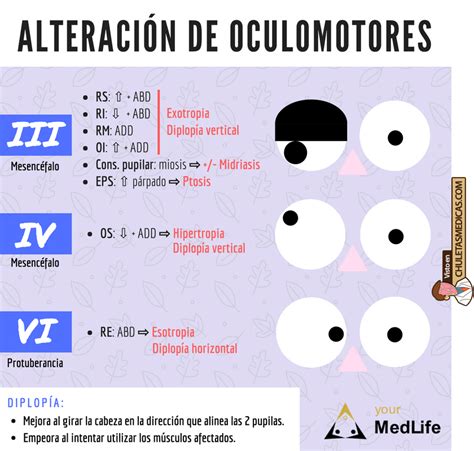 ¿cómo Explorar A Un Paciente Con Diplopía Chuletas Médicas