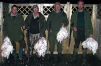 Ptarmigan Hunting Hunting Iceland