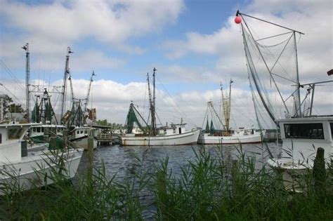 Sneads Ferry, North Carolina - Alchetron, the free social encyclopedia