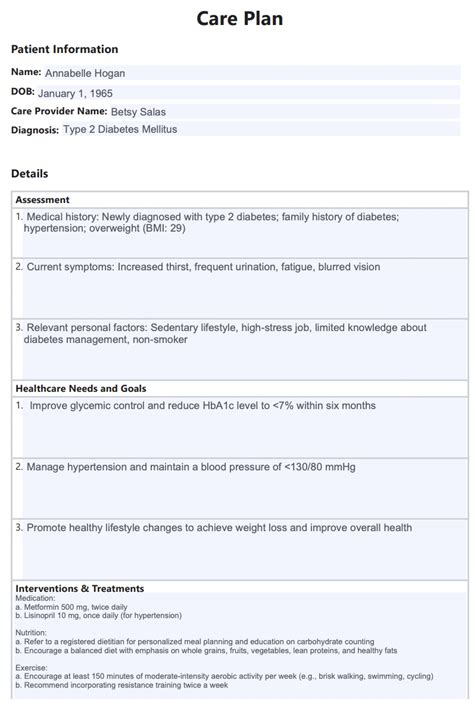 Care Plan Template And Example Free Pdf Download