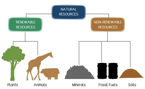 5 Ways To Conserve Natural Resources Sigma Earth