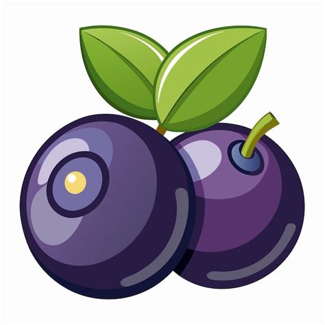 Plum Clip Art Images - Free Download on Freepik
