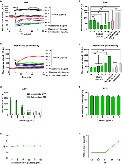 Frontiers Antibacterial Effect And Mode Of Action Of Flavonoids From