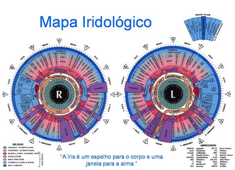 Iridolog A Diagn Stico A Trav S Del Iris Salud